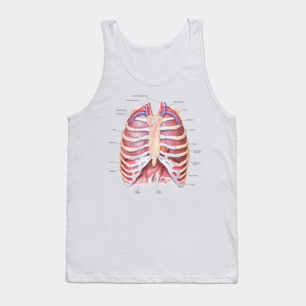 Chest Anatomy - Human Body Tank Top by Bugsponge